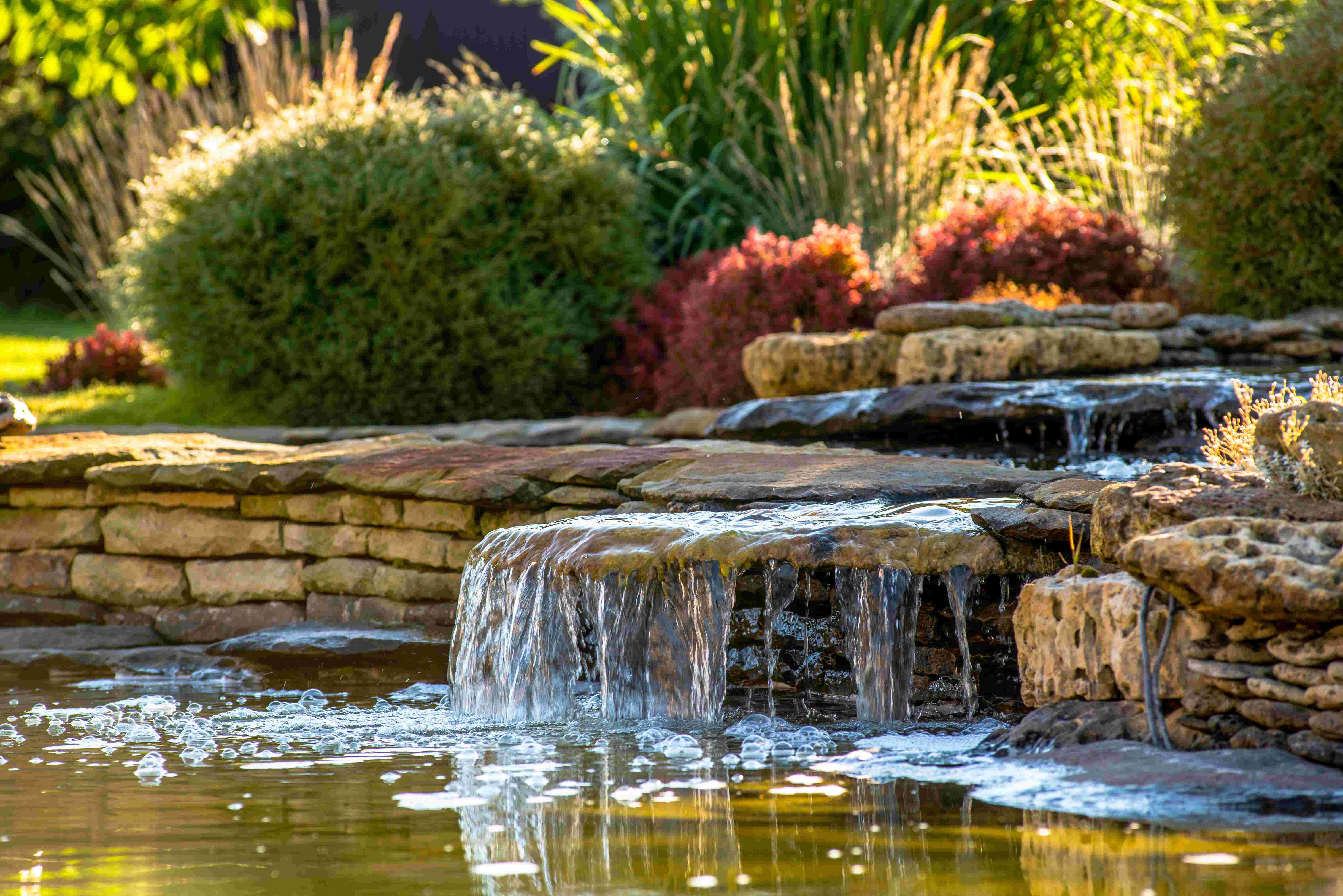 Water Fountain