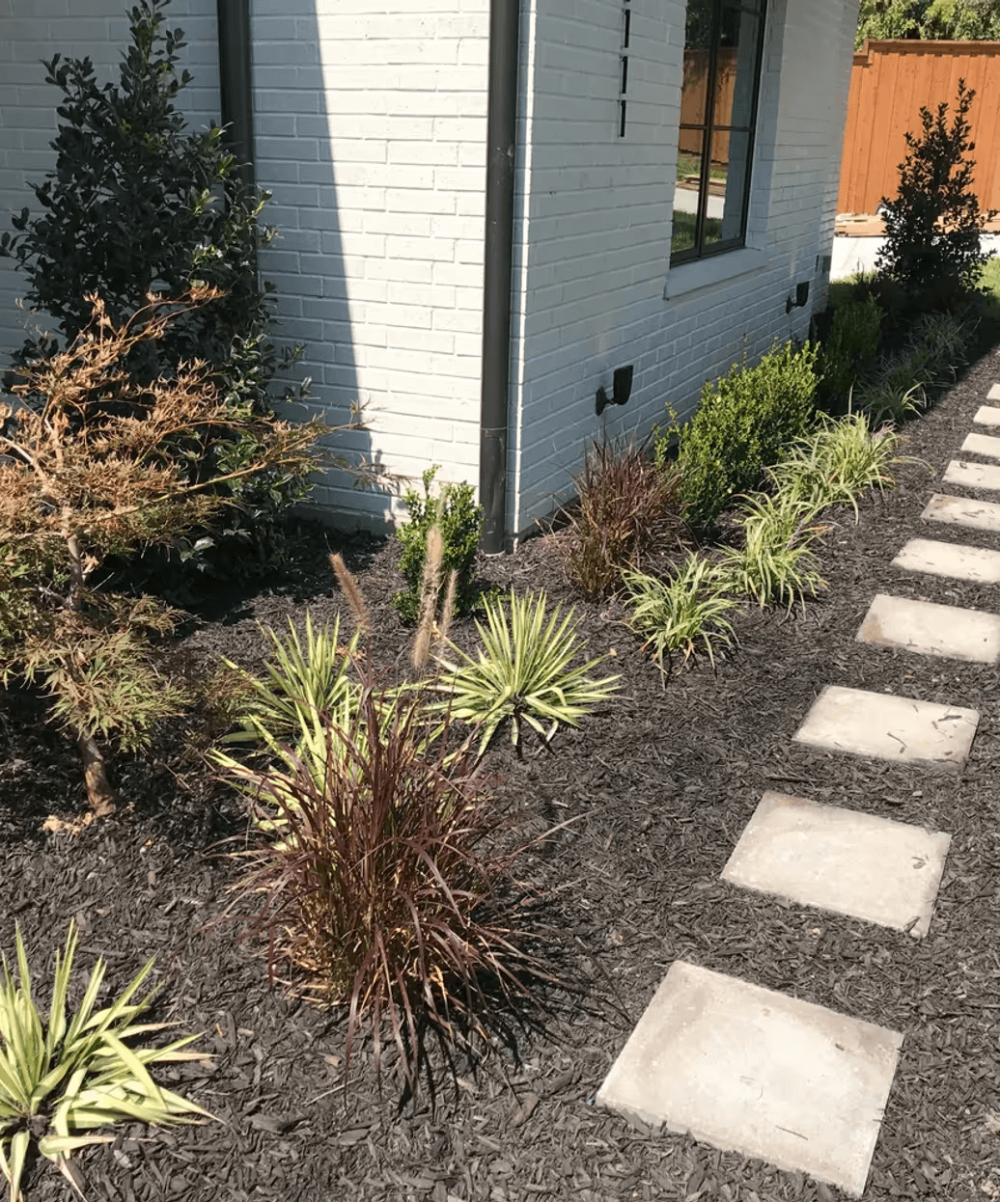 Planting & Garden Design