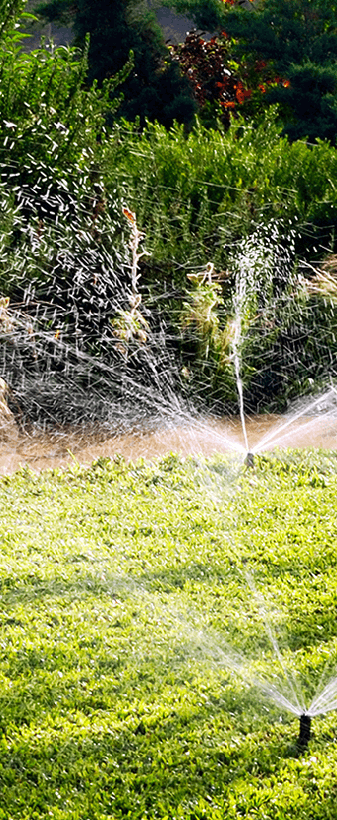 Drainage & Irrigation